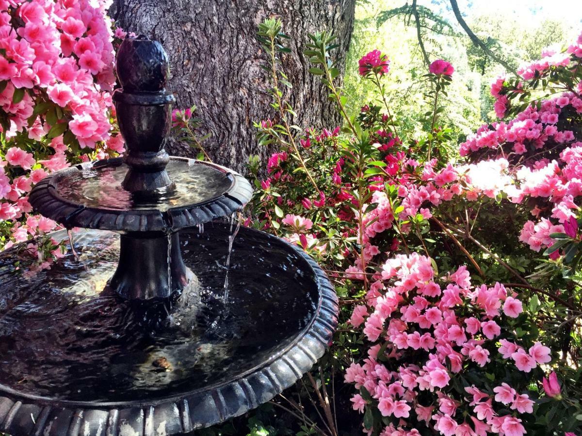The Inn On Knowles Hill Bed & Breakfast Hotel Sonora Luaran gambar
